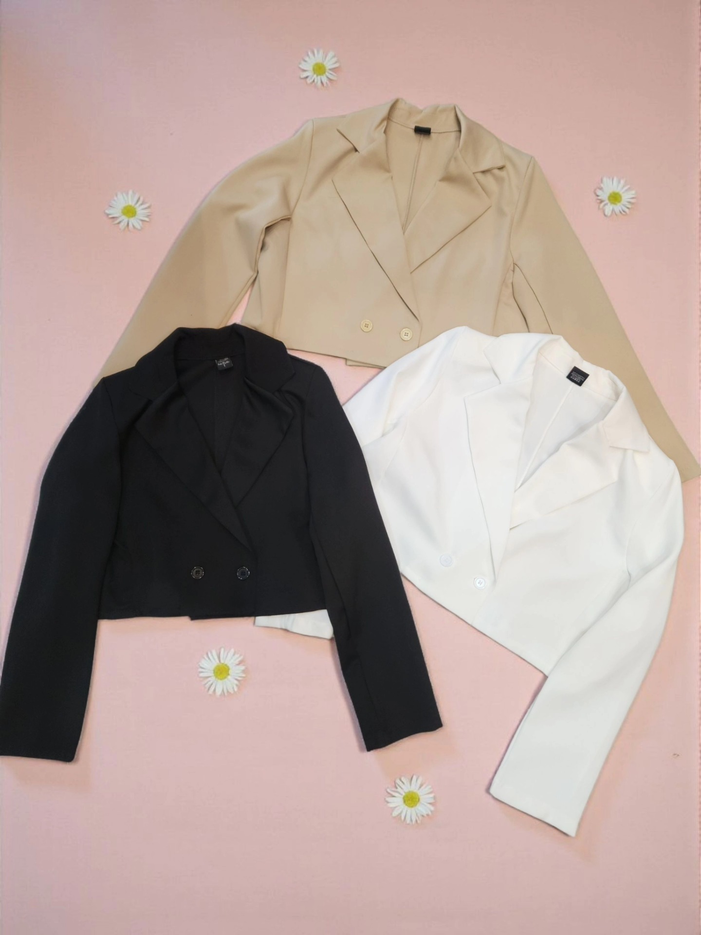 585887541_1271815028313928_5775183813649049961_n